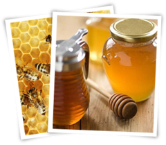 Understanding Honey Benefits and Why it Crystalizes