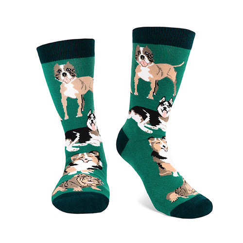 id-rather-be-with-my-dog-socks-green