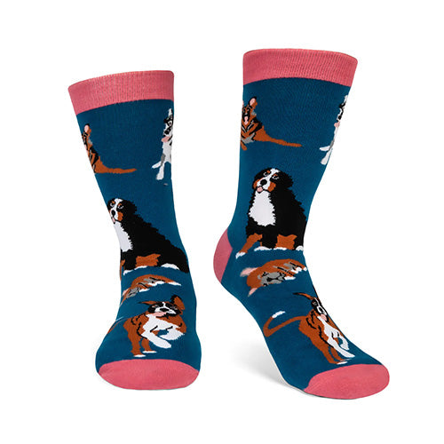 id-rather-be-with-my-dog-socks
